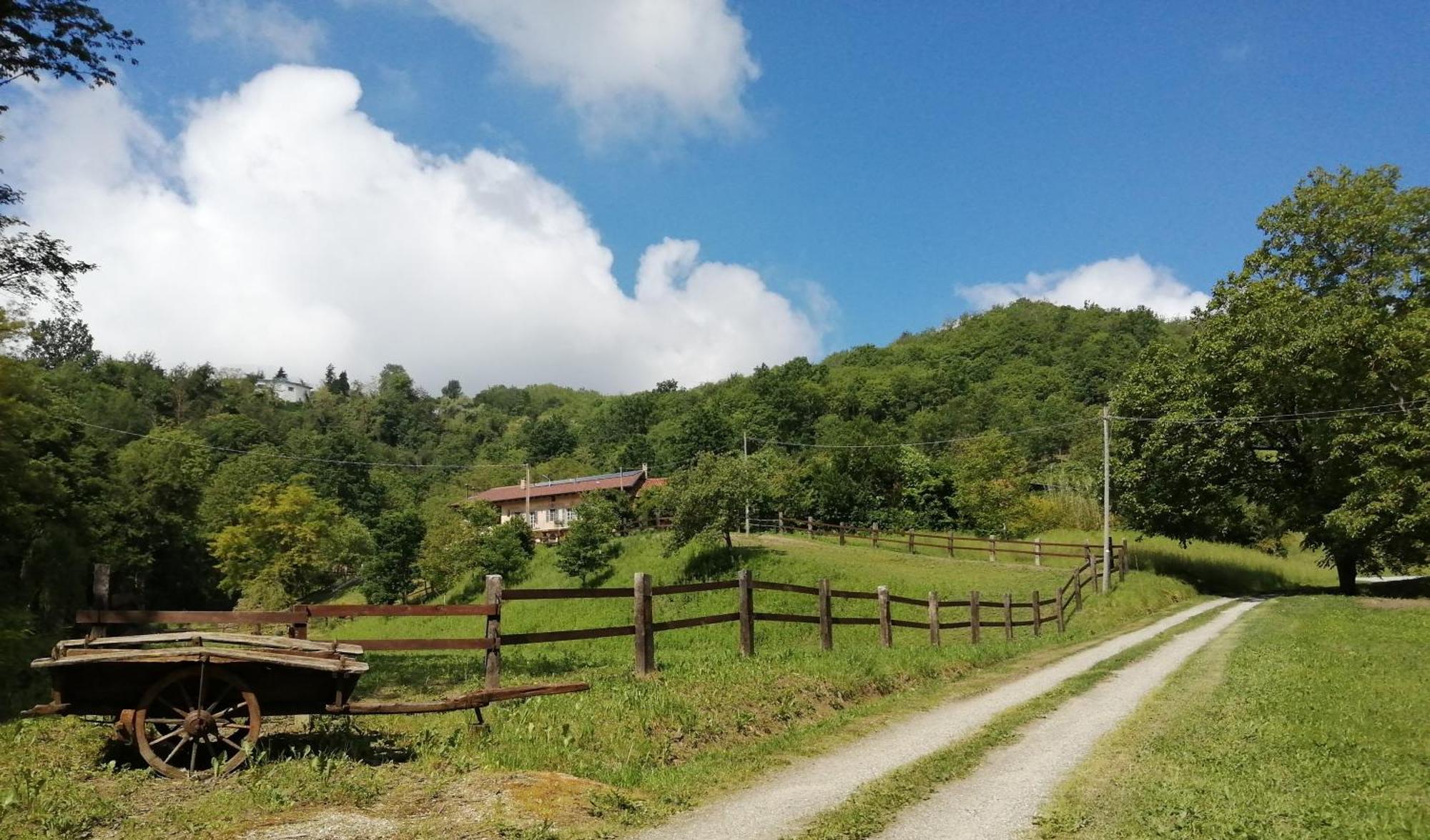 مبيت وإفطار Cinzano La Casa In Collina المظهر الخارجي الصورة